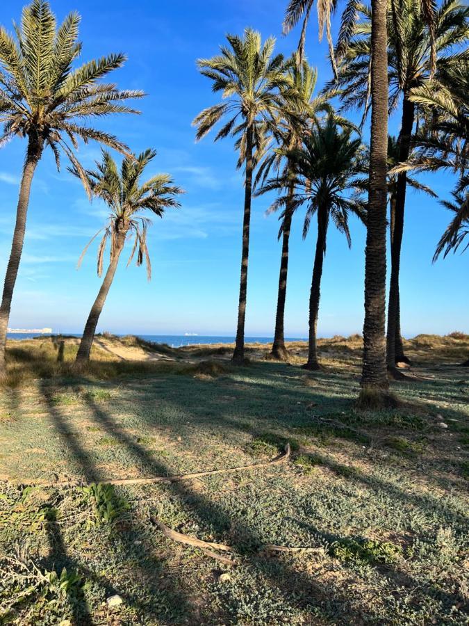 Gound Floor Bungalow Jumilla III Playa Flamenca Dehesa de Campoamor  ภายนอก รูปภาพ